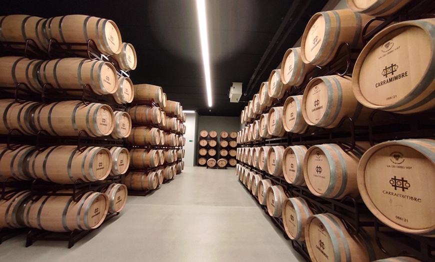 Image 5: Cata de 3 vinos, visita guiada y aperitivo en Bodegas Carramimbre
