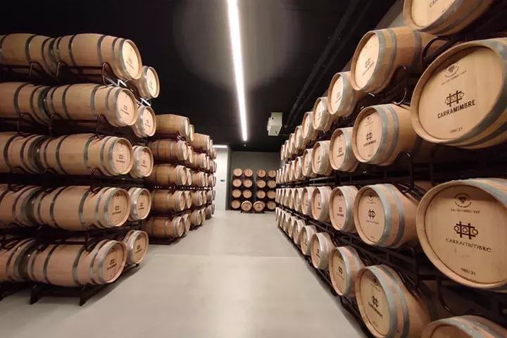 Cata de 3 vinos, visita guiada y aperitivo en Bodegas Carramimbre