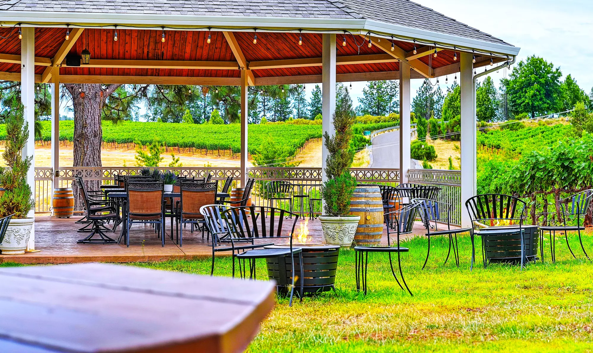 Up to 46% Off Wine Tastings at Docmanov Vineyards and Winery