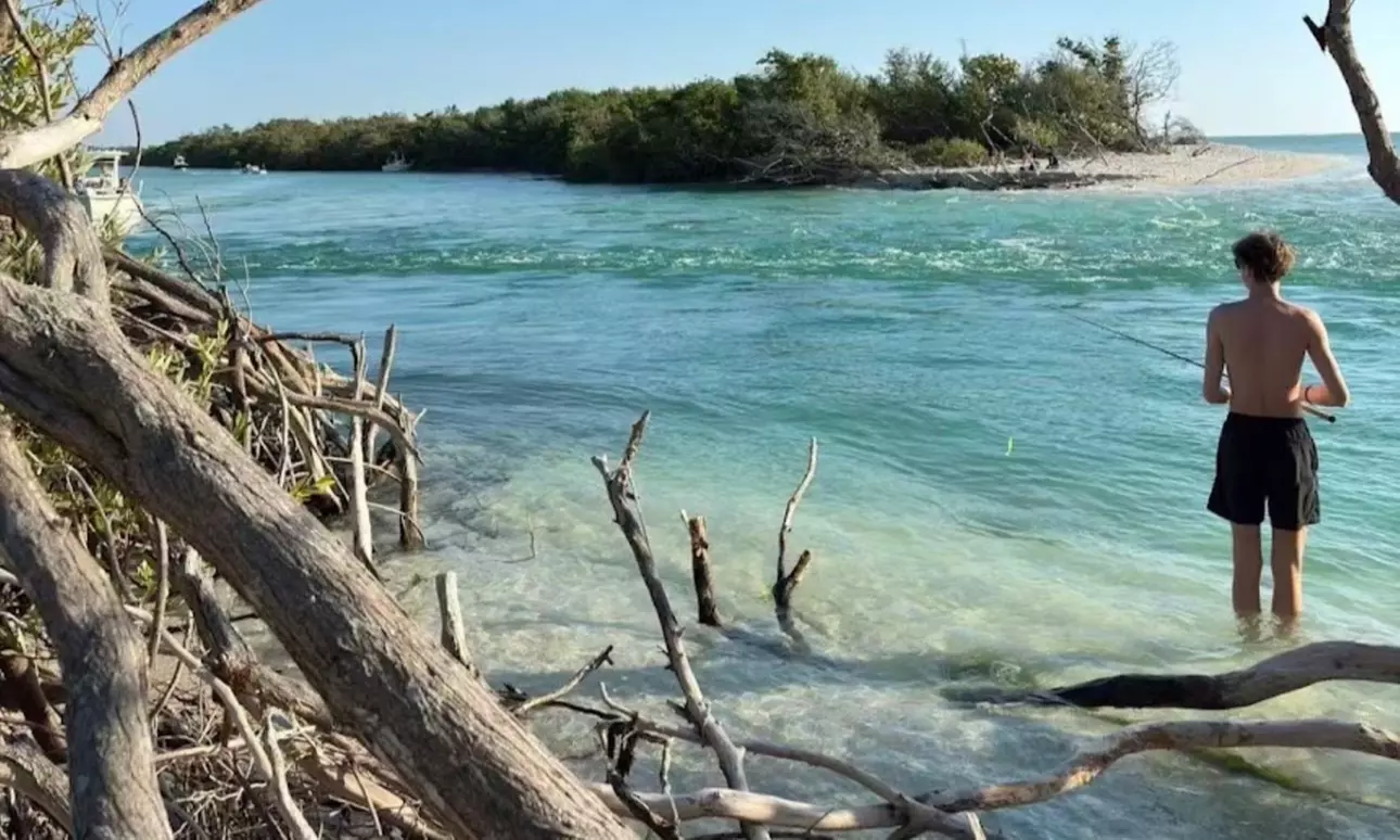 Up to 28% Off on Kayak Rental at Murphs Surf - Kayak Rentals - Siesta Key