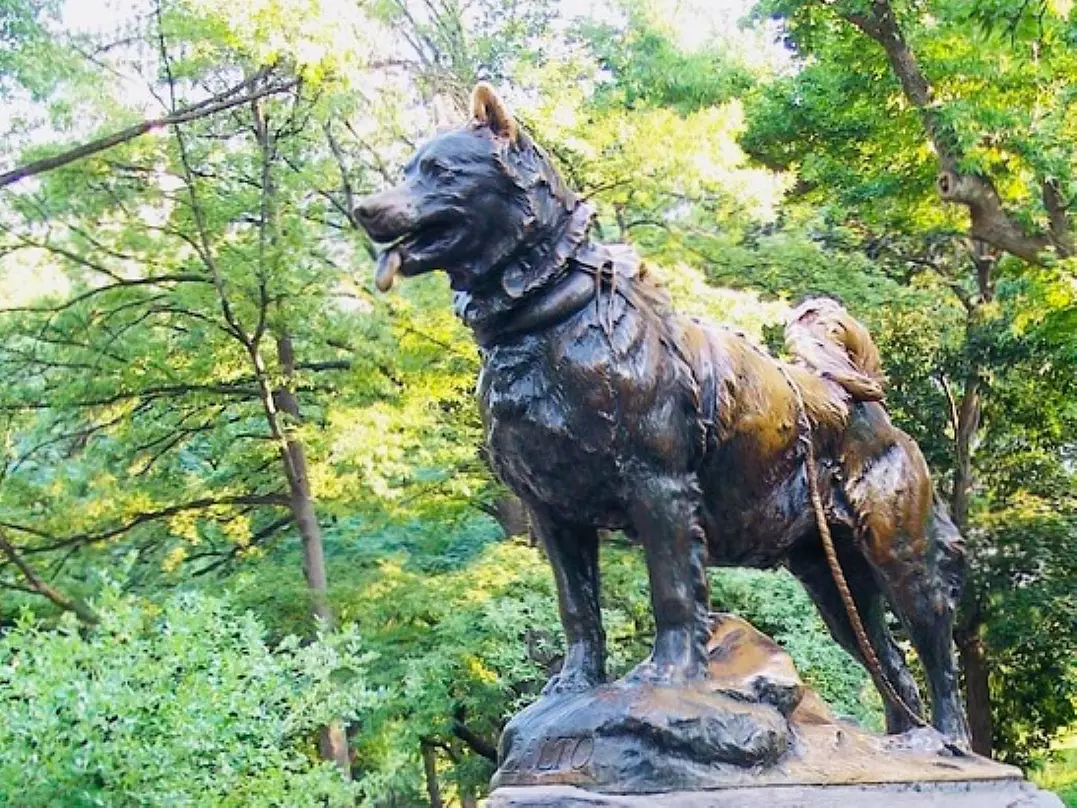 Explore Central Park with Pedicab Tours for Up to Three People