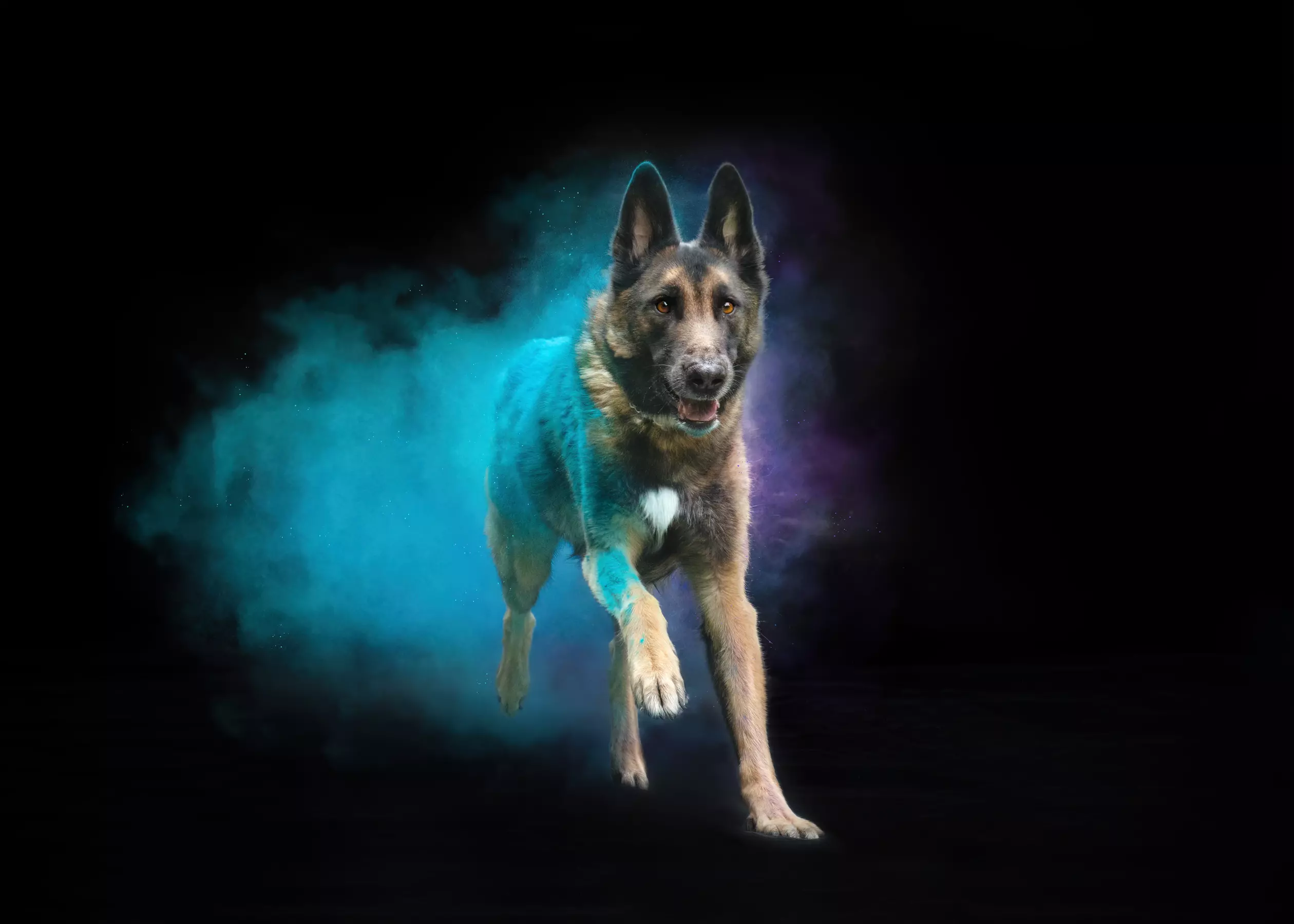 30 Min. Holi-Fotoshooting inkl. 3 - 5 Bilder