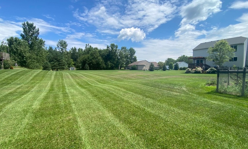 Image 3: Transform Your Yard with Lawn Mowing, Weed-Eating, Edging & Blowing