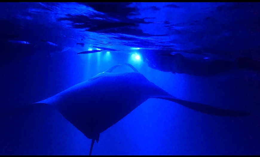 Image 1: Enjoy 2 hour Manta Tour (45 Minutes Water Time for up to 6 People at Kona Mantas(Up To 38% Off)