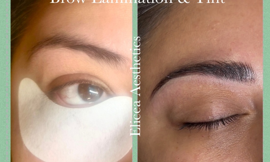 Image 1: Bold, Beautiful Brows of Fabulous Eyebrow Tinting w/ Elicea Aesthetics