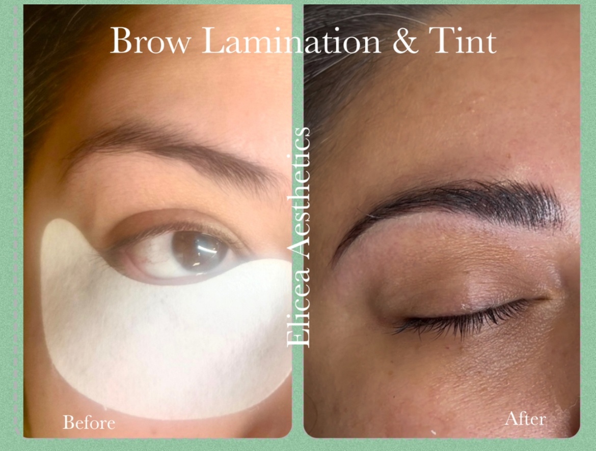 Bold, Beautiful Brows of Fabulous Eyebrow Tinting w/ Elicea Aesthetics