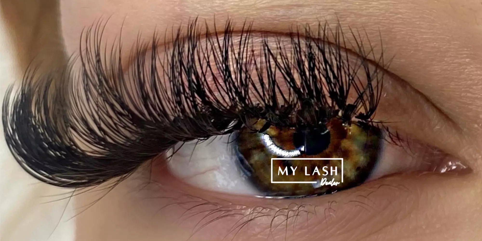 Up to 41% Off on Eyelash Extensions at My Lash Dealer - Primary Image