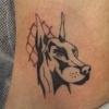 Image 5: Small or Medium Tattoo Services with Consultation