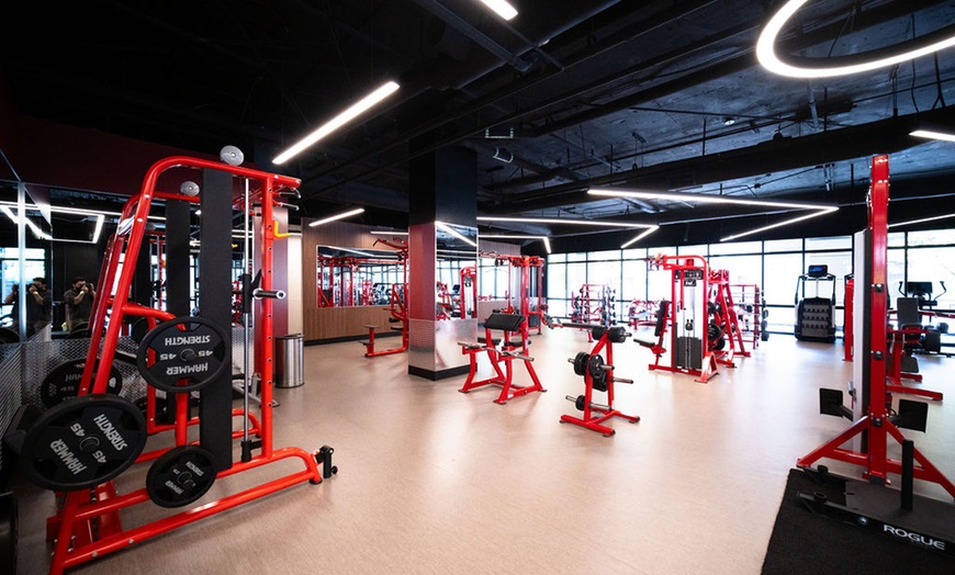 Image 5: Achieve Fitness Goals with TransFORM 180 Training's 3 or 6 Sessions, up to 50% Off