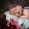 Image 3: Newborn Photoshoot With Prints