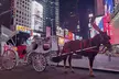 Experience NYC Fancy Rides' Iconic Spots on a Private Horse Carriage Ride (Up to 28% Off) - Second Medium