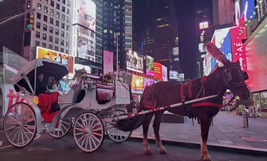 Image 4: Experience NYC's Iconic Spots on a Private Horse Carriage Ride 