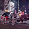 Image 4: Experience NYC's Iconic Spots on a Private Horse Carriage Ride 