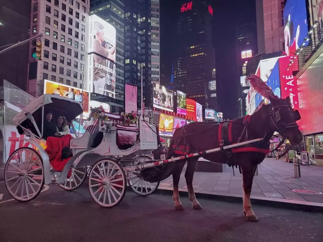 Experience NYC's Iconic Spots on a Private Horse Carriage Ride 