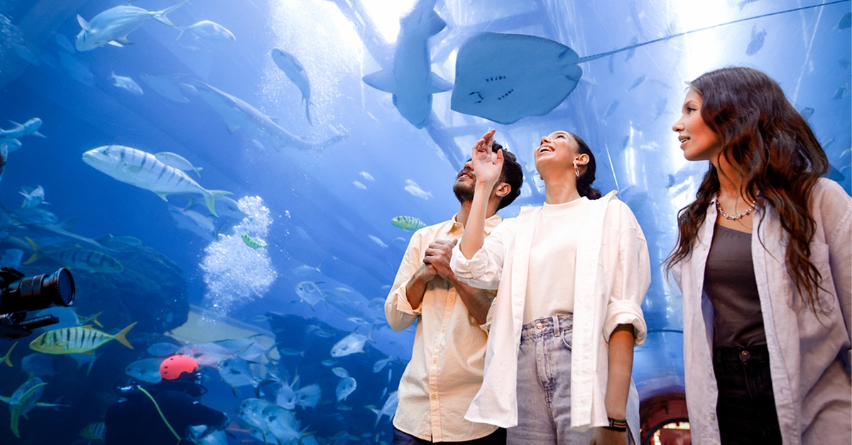 Nature & Ocean Wonders: Dubai Miracle Garden + Dubai Aquarium Combo Nature & Ocean Wonders: Dubai Miracle Garden + Dubai Aquarium Combo