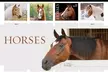 60% OFF USPS POSTAGE STAMPS at Shop US Stamps - Second Medium
