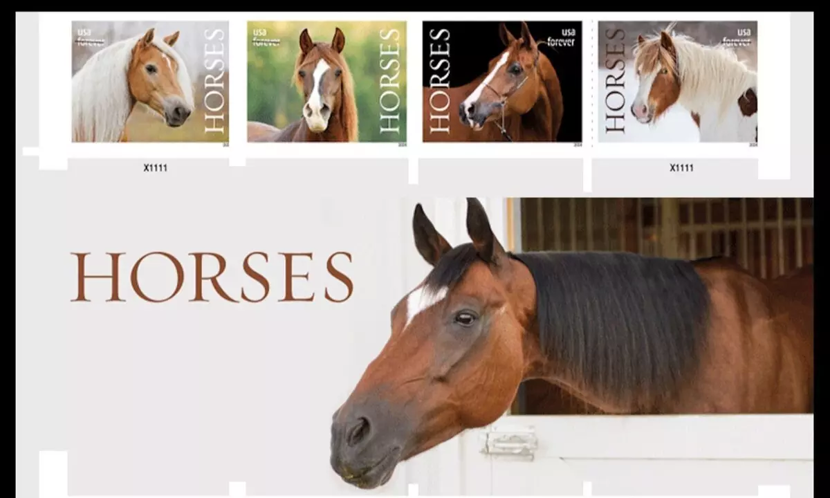 60% OFF USPS POSTAGE STAMPS at Shop US Stamps