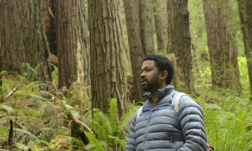 Image 9: Escape to Redwoods: 2-Hr Private E-Bike Tour - Up to 4, 5 or 6 Riders 