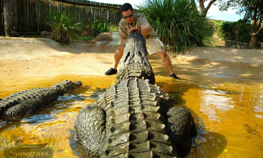 Image 15: Up to 28% Off – Everglades Airboat Tour