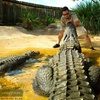Image 15: Up to 28% Off – Everglades Airboat Tour