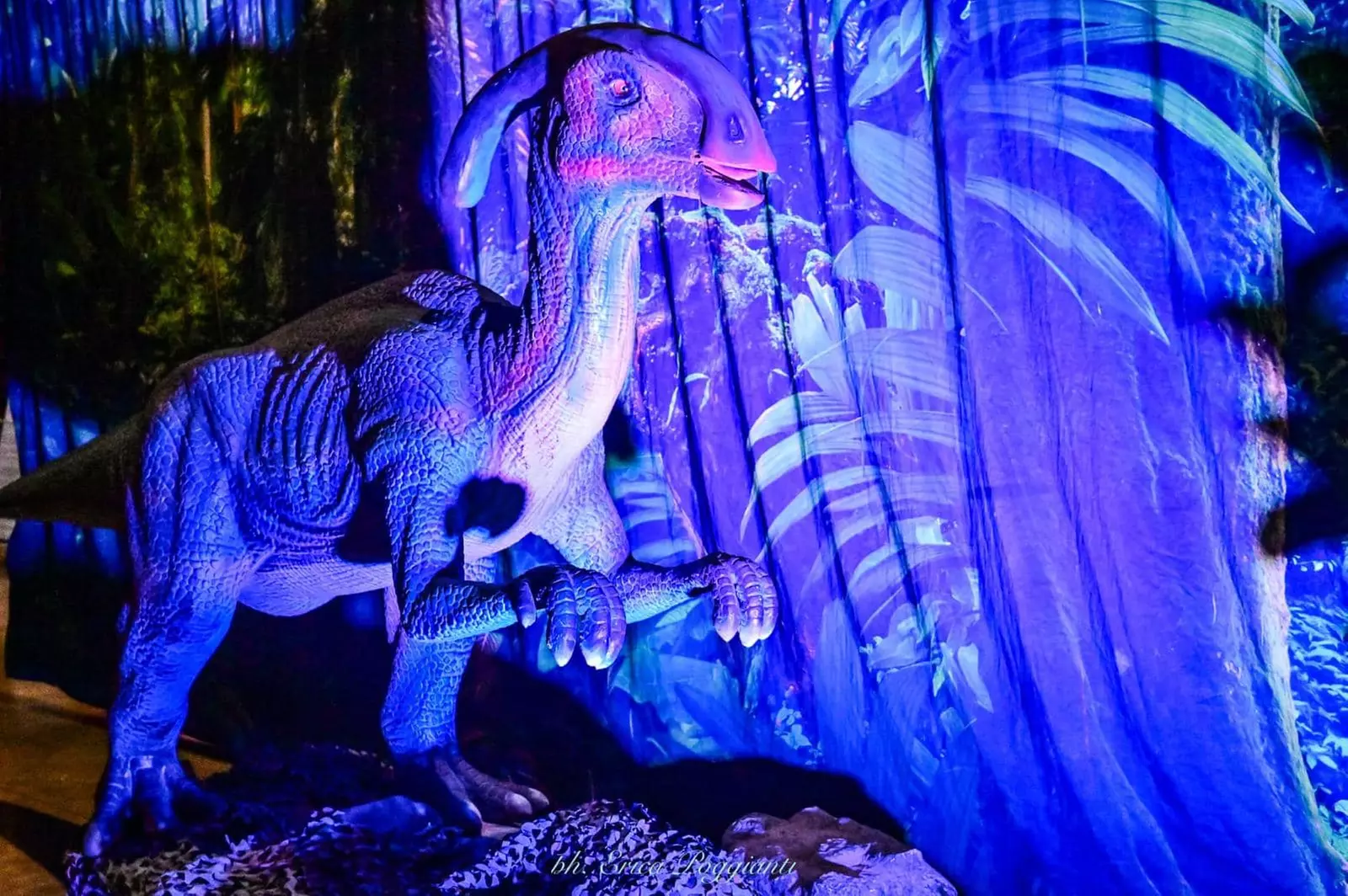 Exposition immersive à La Cadière-d'Azur : découvrez Dinosaurs World