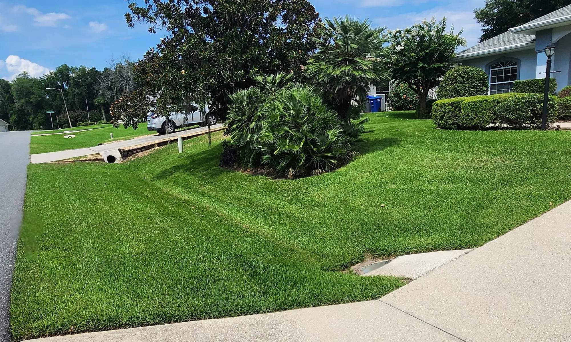 Eco-Friendly Pest Control & Lawn Care –Years of Expertise!