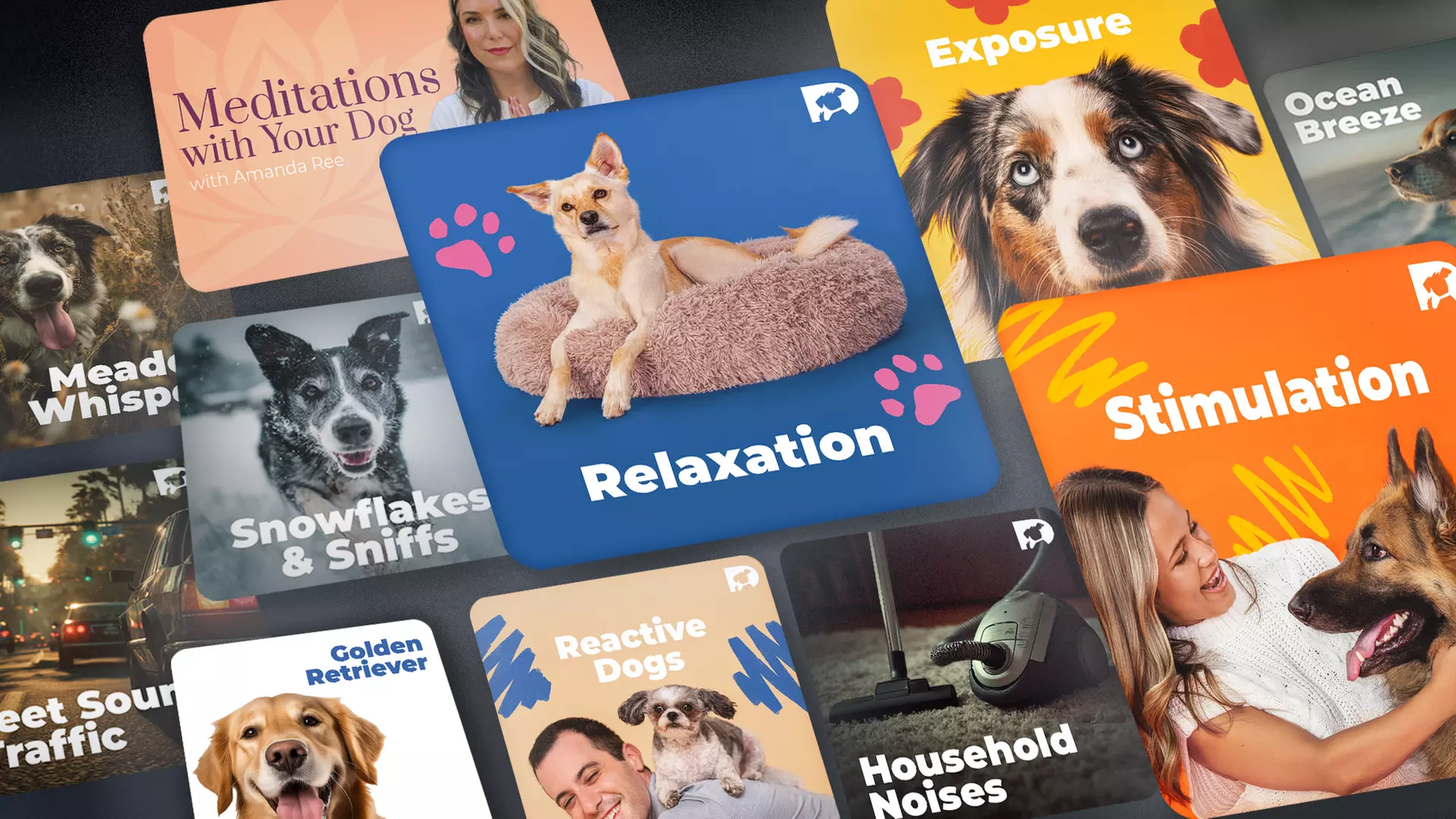 Stream DOGTV for a Year or Enjoy a Free Month