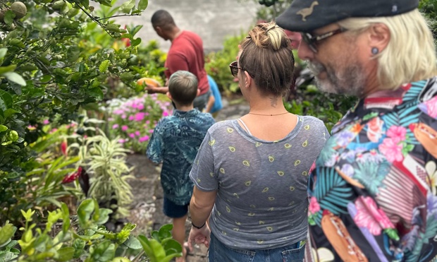 What to expect media