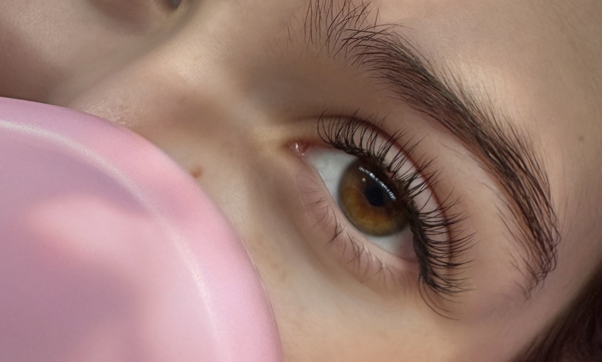 Image 3: Enhance Your Eyes with a Full Set of Classic Eyelash Extensions