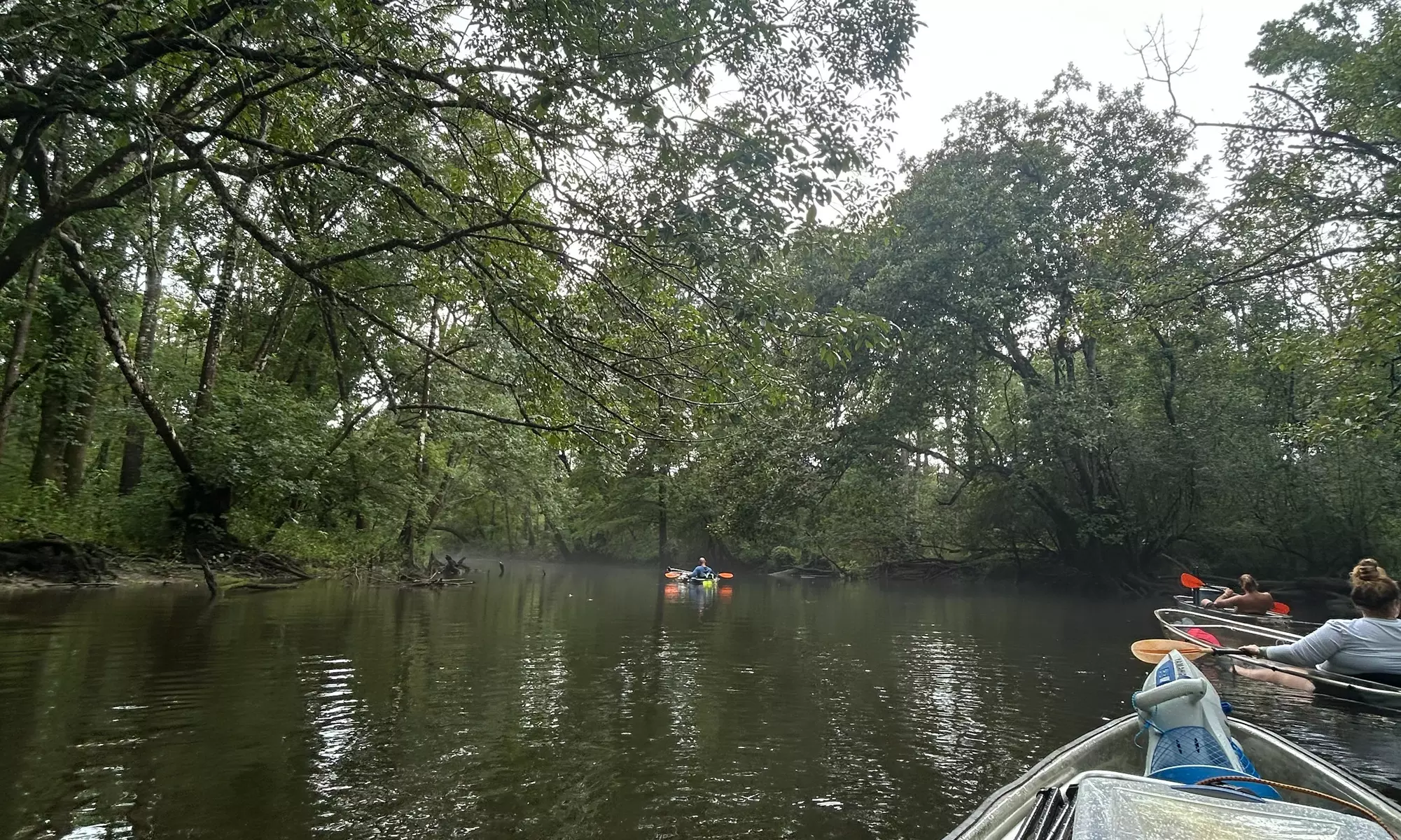 Paddle or Kayak to Breathtaking Cypress Springs, Float, Swim & Nature!