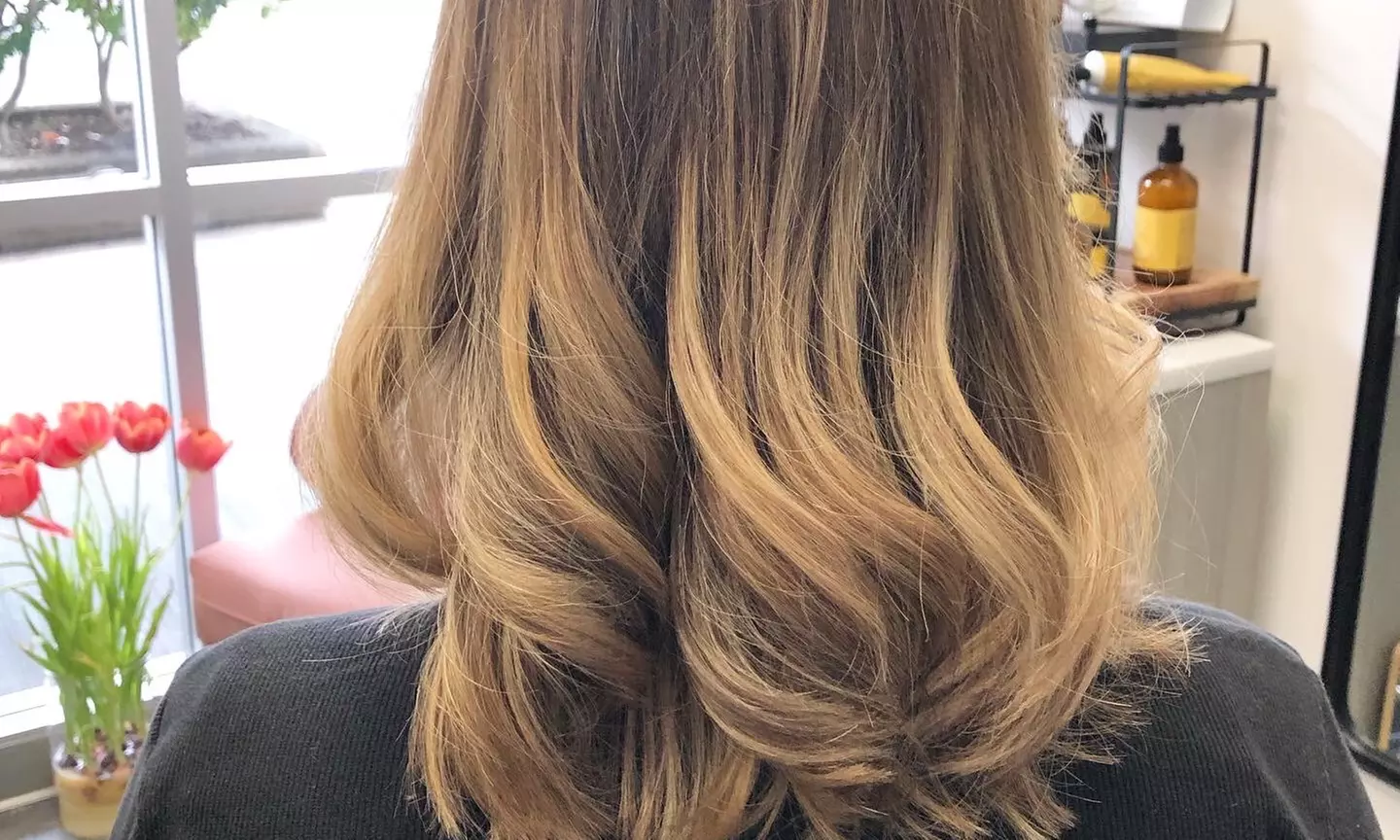 Up to 38% Off on Salon - Hair Color / Highlights - Roots at Jennifer Rose Hair Studio - Primary Image