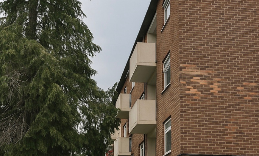 Image 3: Body Contouring EMS + RF – Two Sessions at Body Sculpting By Demi