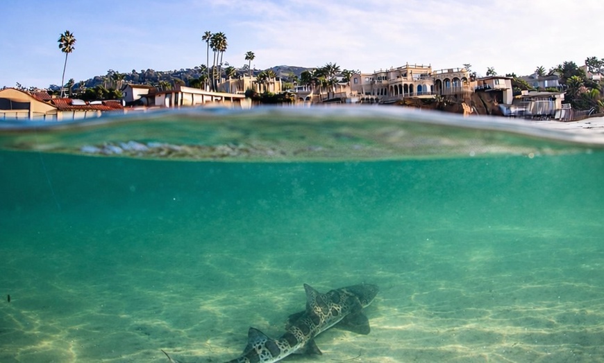 Image 3: Explore One Full-Day Snorkel Rental with Choice of Wetsuit for 1 or 2 