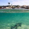 Image 3: Explore One Full-Day Snorkel Rental with Choice of Wetsuit for 1 or 2 