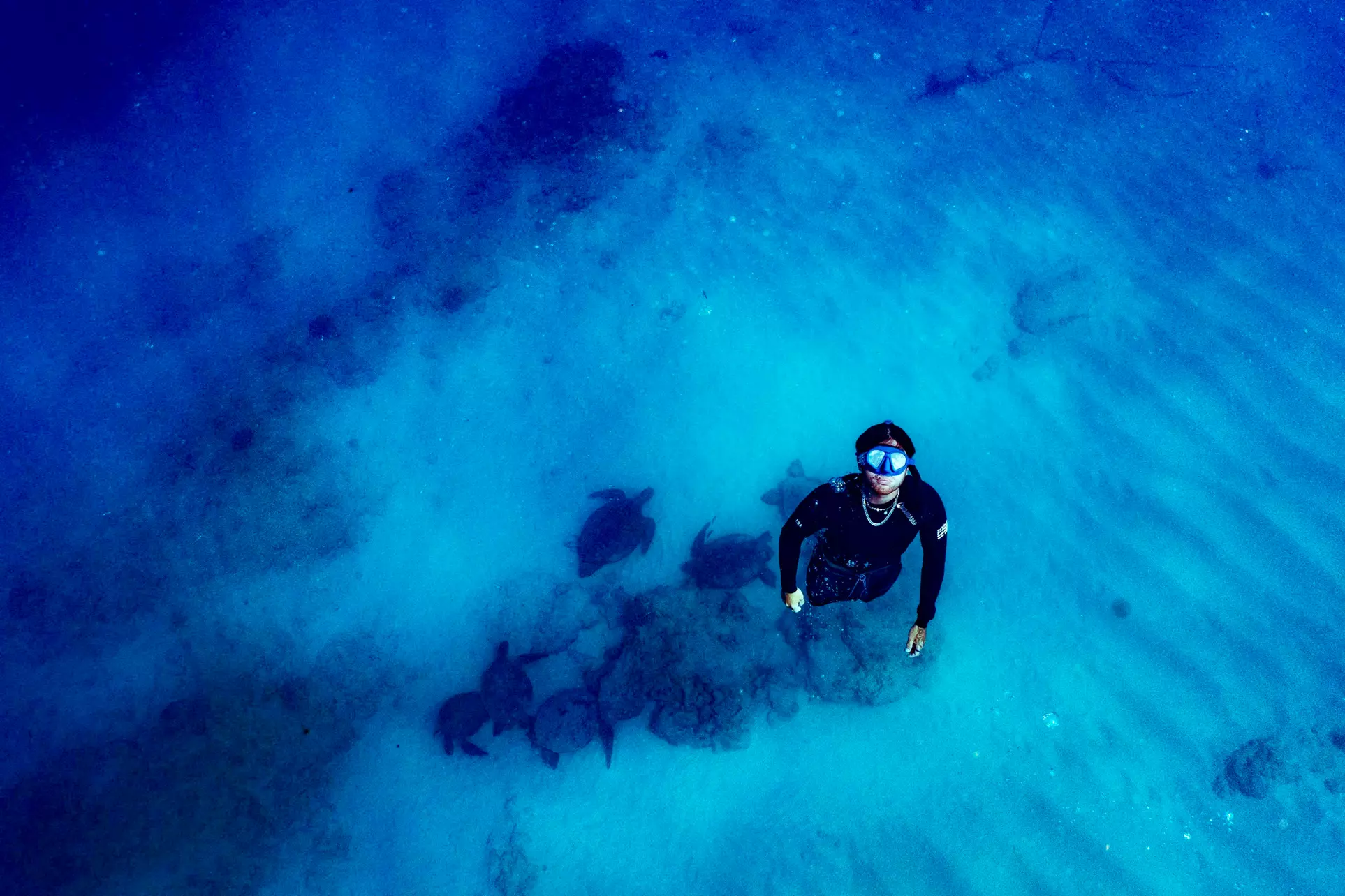 Snorkel with turtles at Turtle Canyon in Honolulu