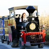 Image 8: Maize Quest: Giant Corn Maze & Fun Park Adventure