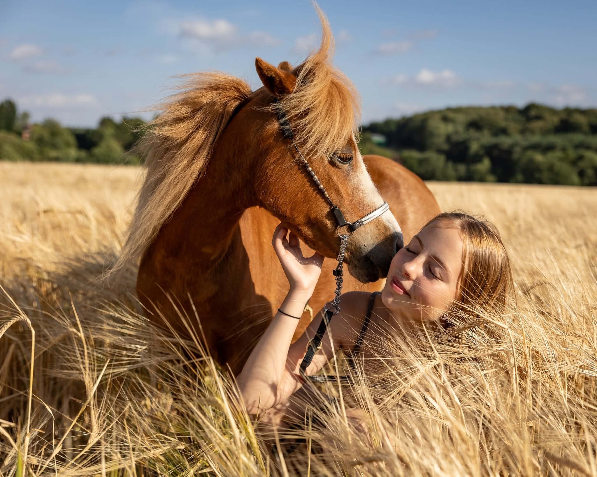 Up to 25% Off on Horse Back Riding - Recreational at Sherwood Forest Harmony Horses