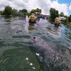 Image 8: Dive into Adventure: Manatee Snorkeling Tour or Adventure Group Tour