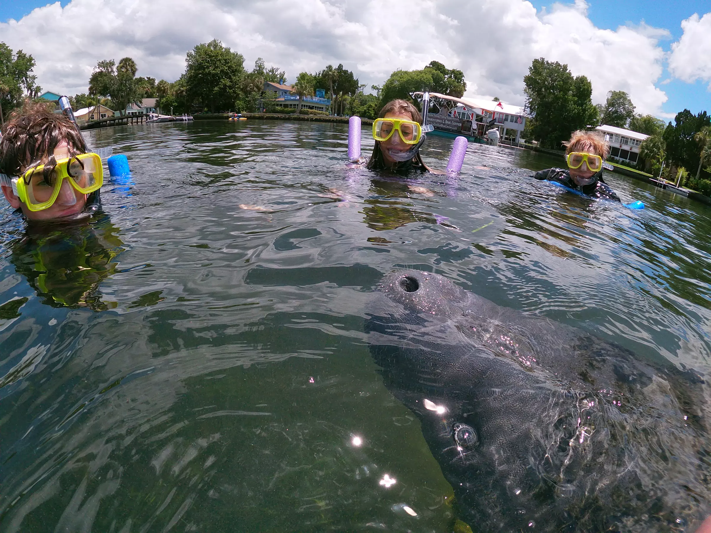 Dive into Adventure: Manatee Snorkeling Tour or Adventure Group Tour