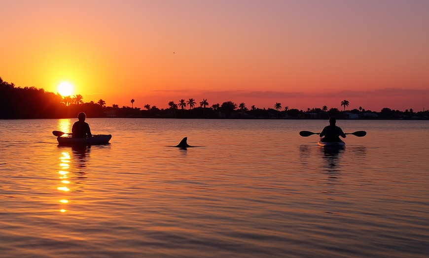Image 2: BOGO Bioluminescent Kayaking & Guided Eco Tours at Cocoa Beach