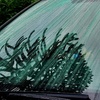 Image 1: Transform Your Windshield with Ceramic Coating