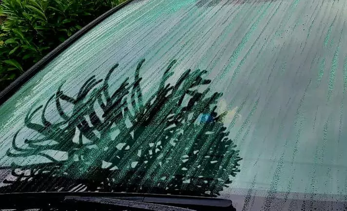 Transform Your Windshield with Ceramic Coating
