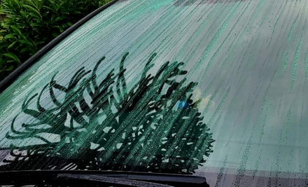 Windshield Ceramic Coating - Show Room Ceramic Coatings & Graphic Wraps