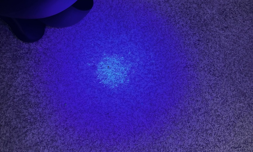 Image 3: Up to 28% Off on Carpet Cleaning at Go 2 Steam Professional Carpet Care