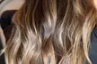 Transform your Look with Stylish Haircut, Blow-Dry, and Styling at Hair By Mar B's salon (Up to 50% Off) - Second Medium
