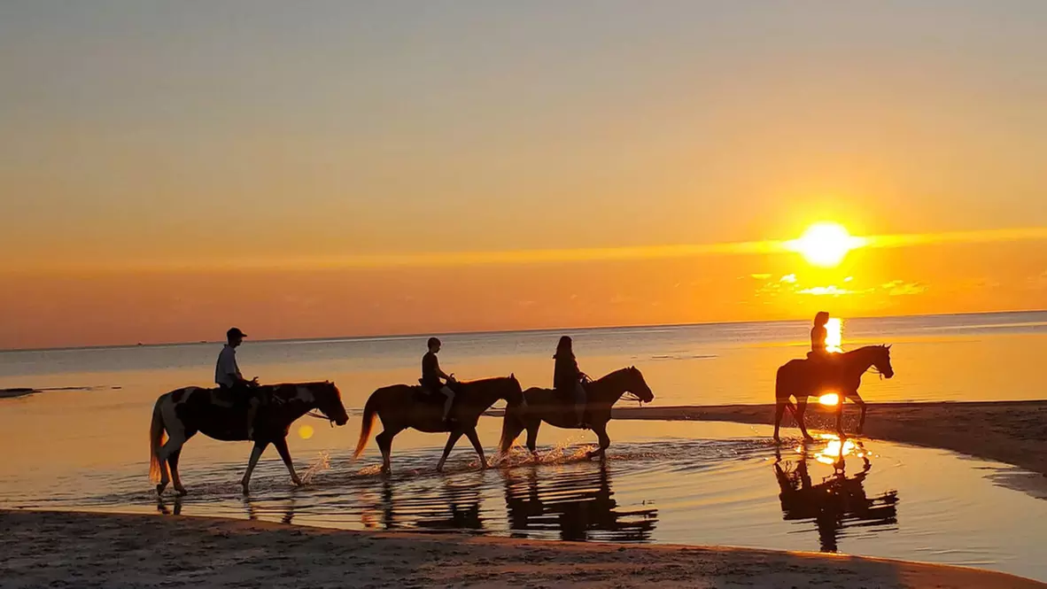 Up to 25% Off on Equestrian Experience at Ocean View Stables - Primary Image