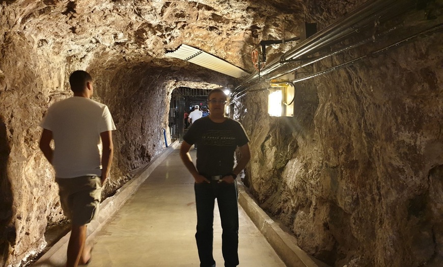 Image 10: Guided Tours to Hoover Dam, El Dorado Mine, Zion Park or Grand Canyon