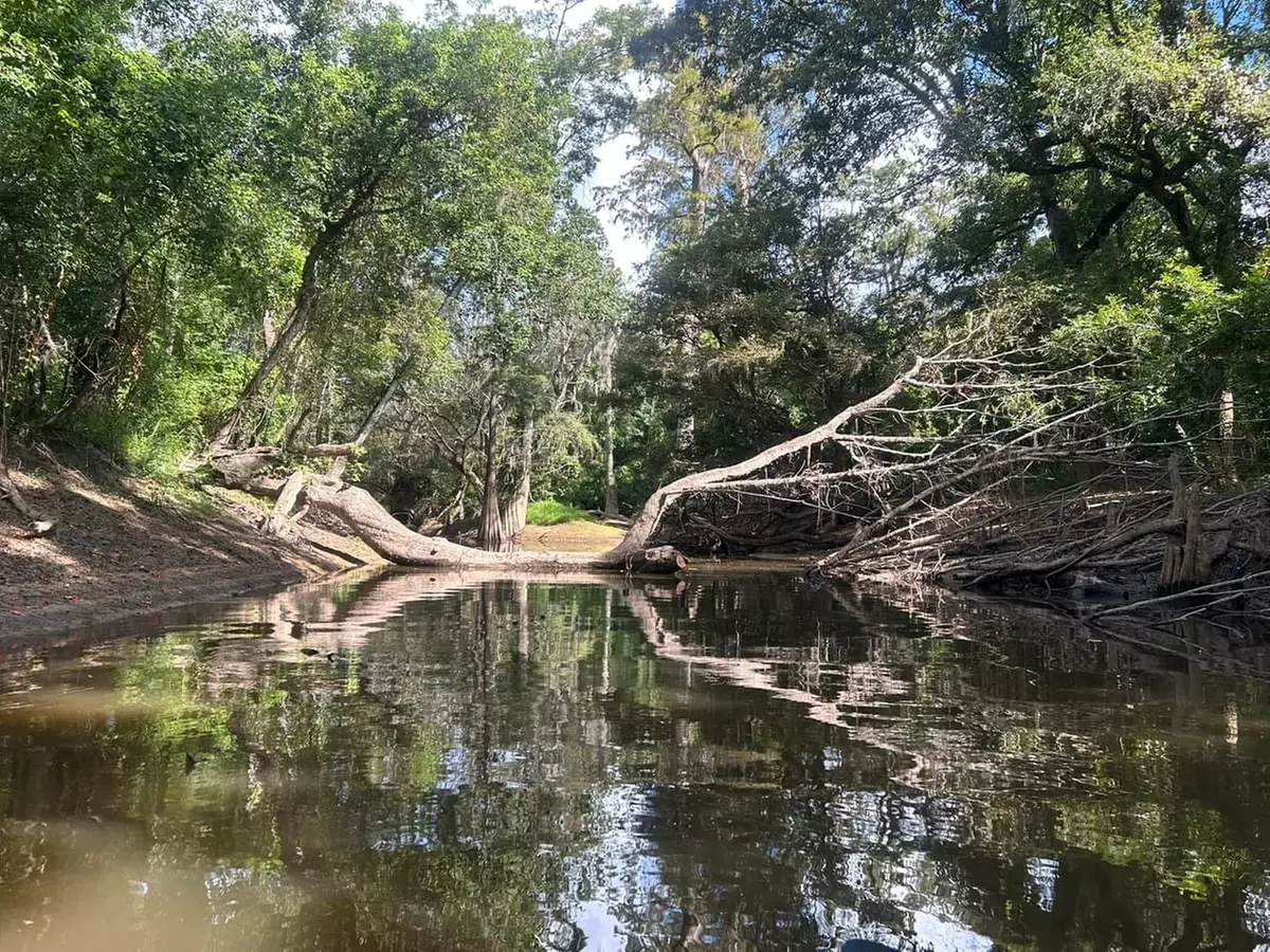 Up to 45% Off on Guided Tour at KoKoMo Kayak Tours and Adventures