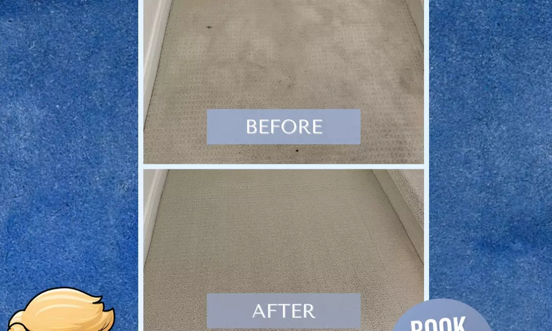 Eco-Friendly Carpet and Rug Cleaning for Home or Office