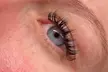 Up to 50% Off on Eyelash Extensions at Lee Lash LLC - Second Medium